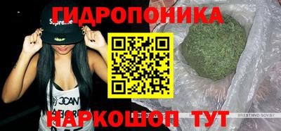 ГАЛЛЮЦИНОГЕННЫЕ ГРИБЫ Кулебаки