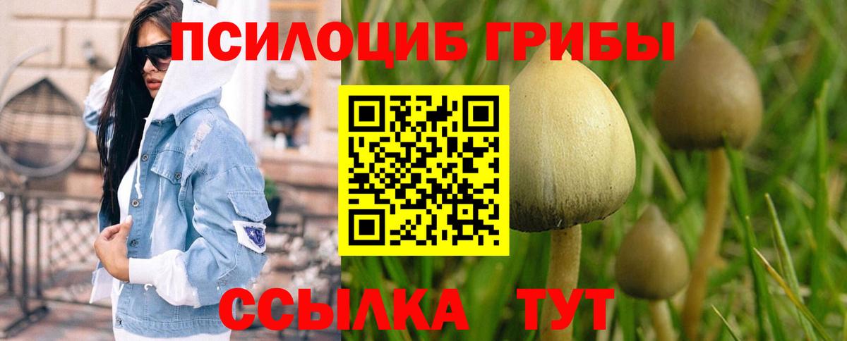 Галлюциногенные грибы мухоморы Пугачёв