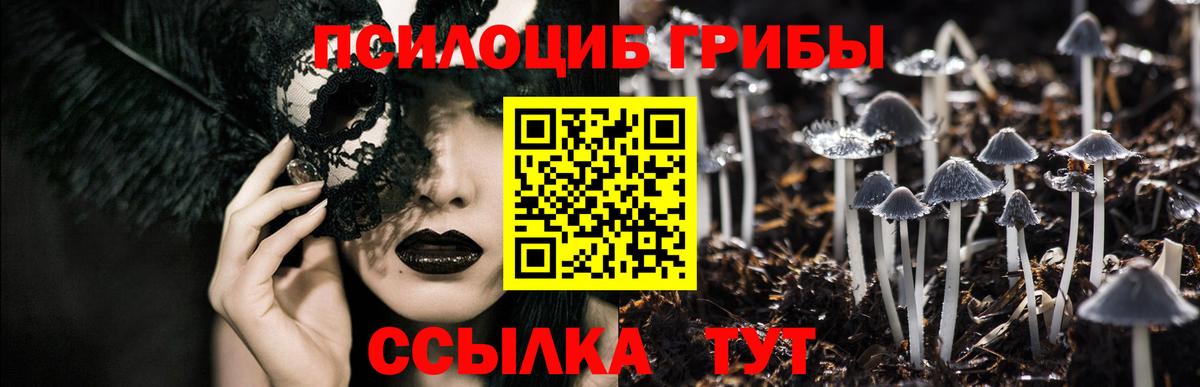 Галлюциногенные грибы MAGIC MUSHROOMS  Вход с VPN  что такое наркотик  Галлюциногенные грибы прущие грибы  Пугачёв 
